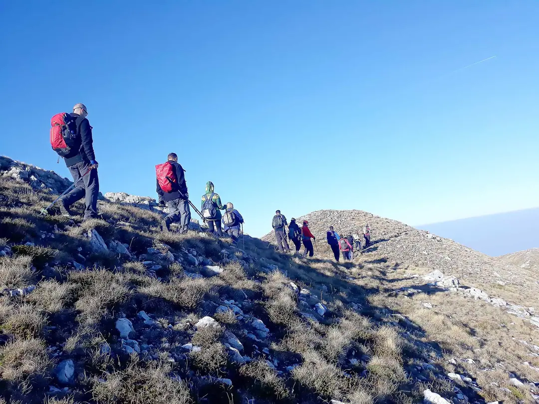 Line of hikers walking up a grassy ridge