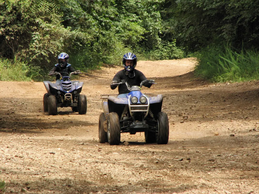 Two riders on quads on a dirt trail through the forest