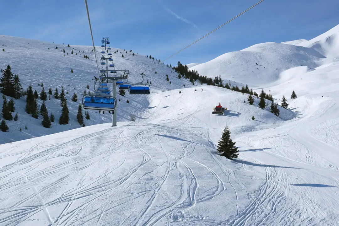 Groomed ski runs and pine trees at Popova Šapka